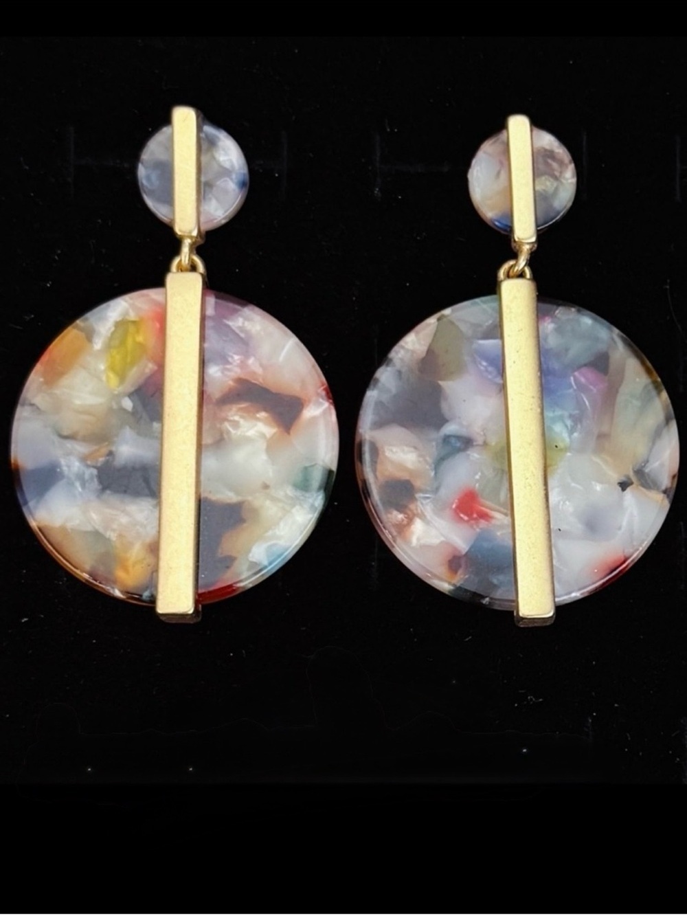 Multicolor Goldtone Accent Resin tortoise pierced Earrings